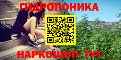ECSTASY Усть-Джегута