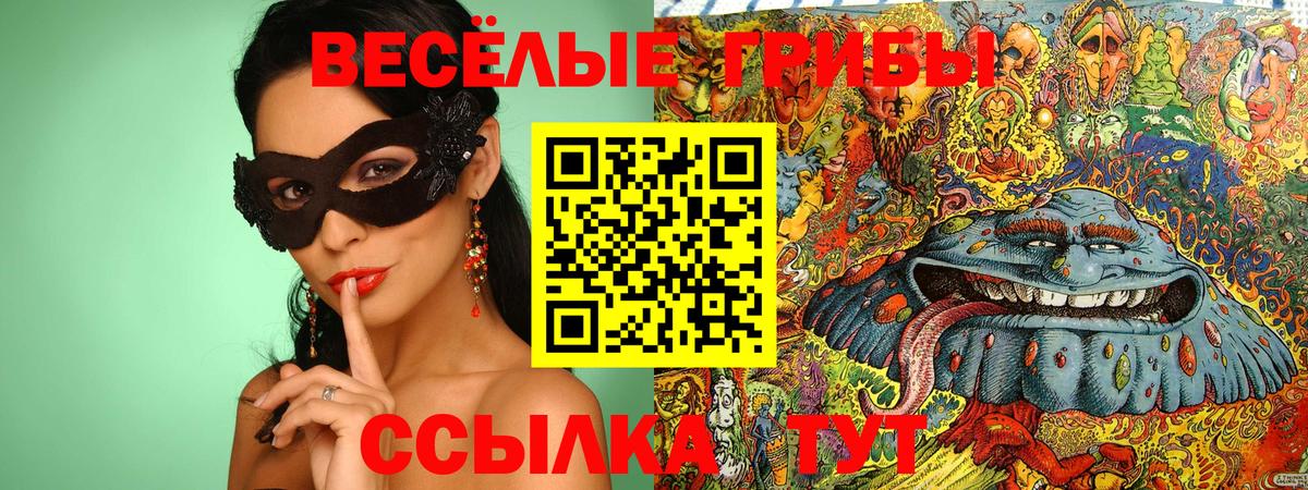 Псилоцибиновые грибы прущие грибы Усинск