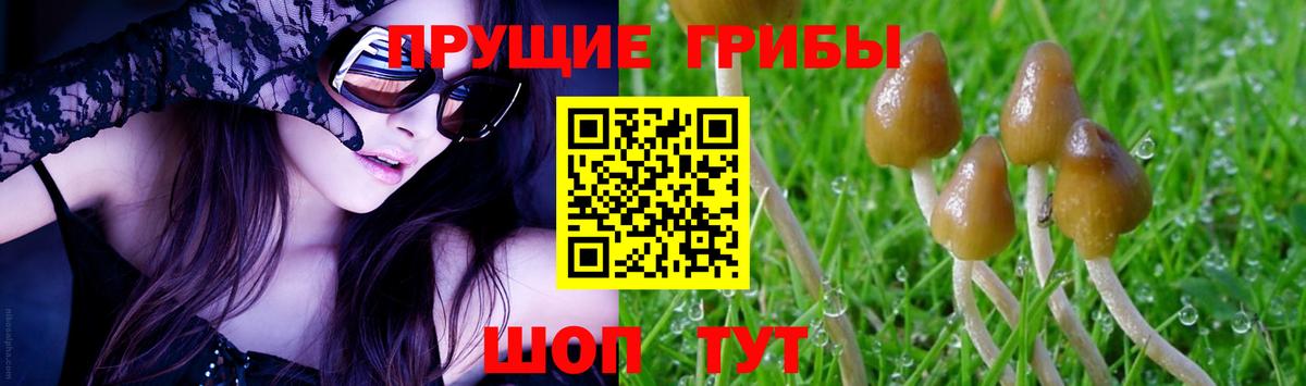 Псилоцибиновые грибы ЛСД  Вход с VPN  Усинск  Галлюциногенные грибы мухоморы 